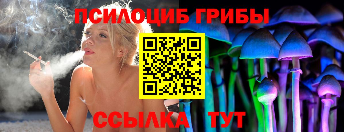 Галлюциногенные грибы Psilocybine cubensis Лесосибирск